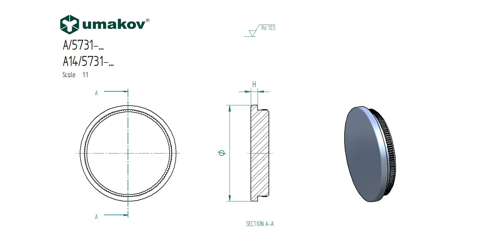 Zaślepka na rurę, solid